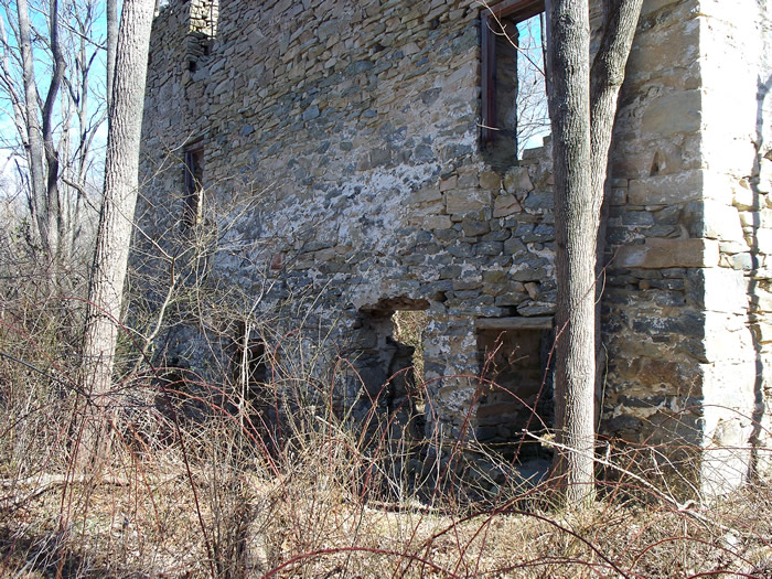 Scott's Mill Ruins
