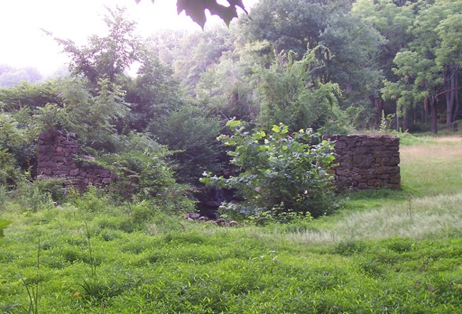 Ruins:  Liddell's Saw Mill / John Logan's Mill / Leddell's Mills