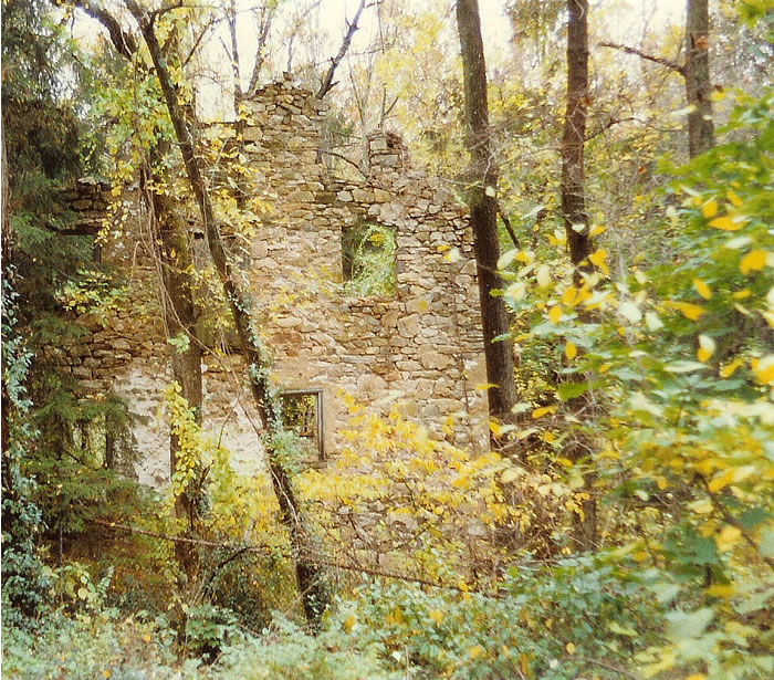 Ruins / Colehower Mill