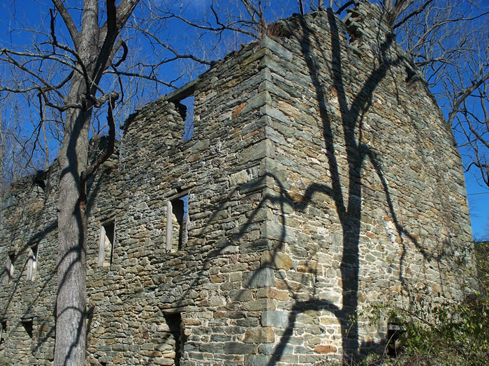 Wiley's Grist & Saw Mill Ruins