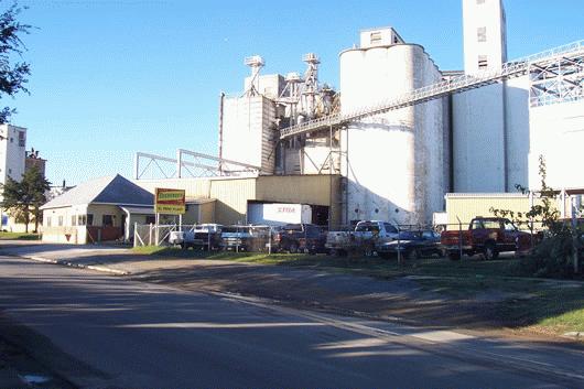 Canadian Mill & Elevator-Evergreen Feeds