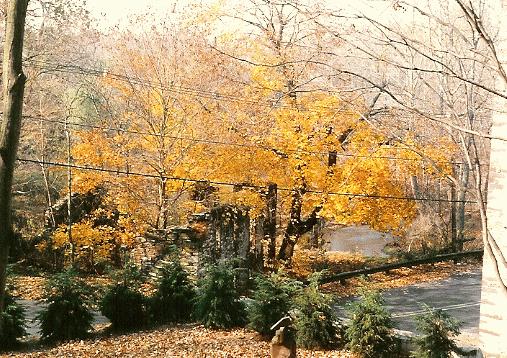Ruins: Heath Grist Mill