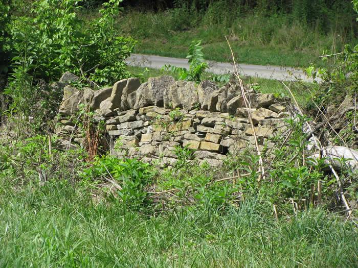 Centre Point Grist Mill - ruins