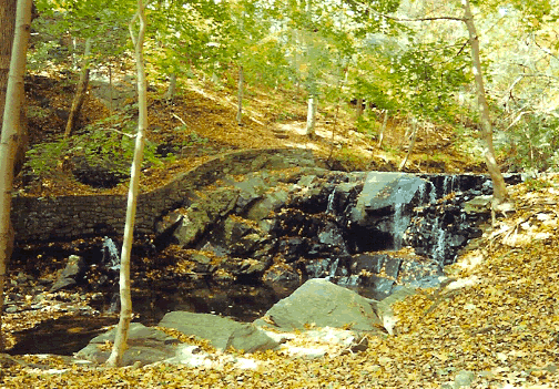 RUINS: Robert's Mill #2