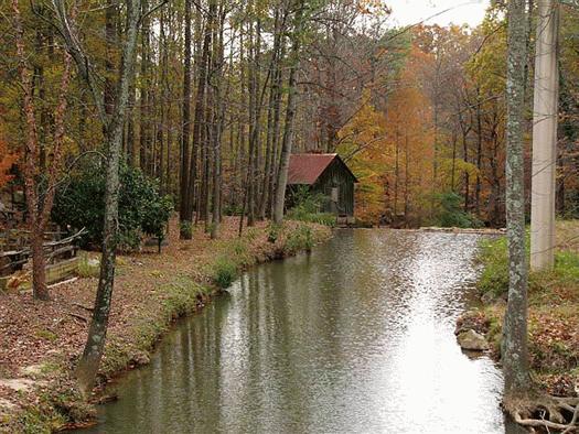 L.T.Lefler Grist Mill / Pine Run Mill