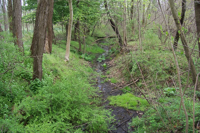 Houcks Grist Mill