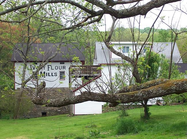 Ivory Flour Mills / Wiley Grist Mill