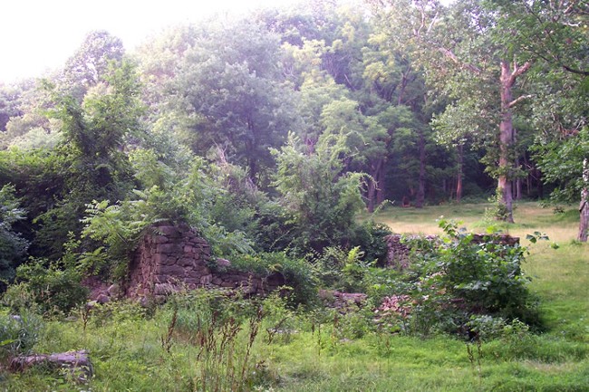 Ruins:  Liddell's Saw Mill / John Logan's Mill / Leddell's Mills