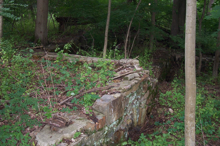 Wm. H. Landis Mill ruins