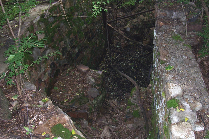 Wm. H. Landis Mill ruins