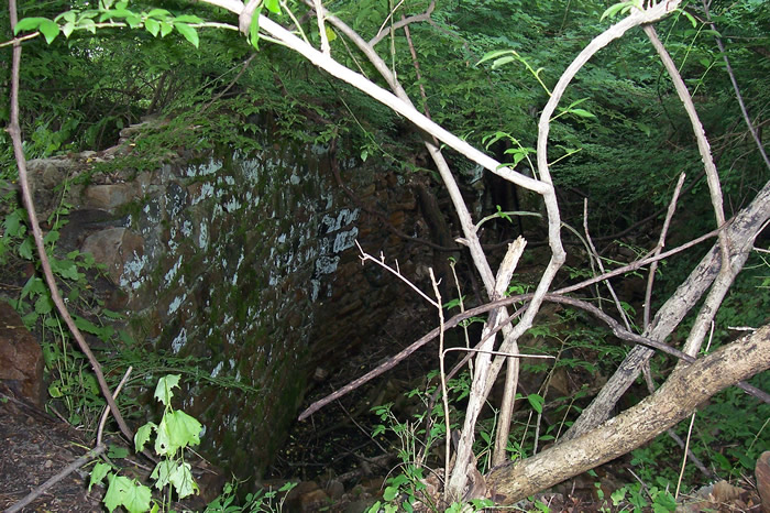 Wm. H. Landis Mill ruins