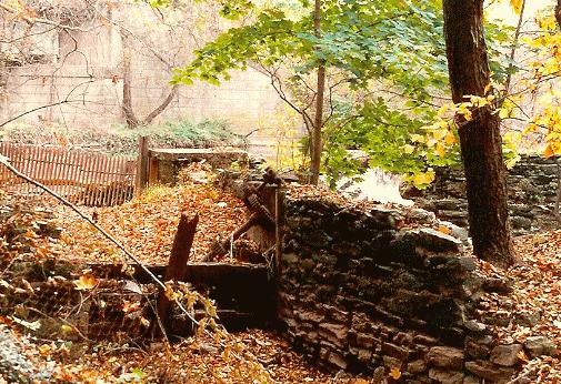 RUINS: Paul's Run Mill / Dane Hower Mill