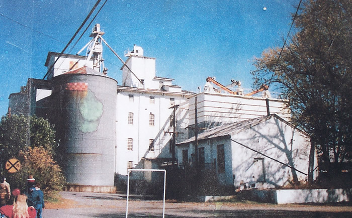 Buffalo Milling Co., Limited.  / The Roller Mills